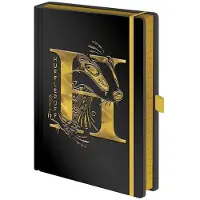 Hole in the Wall Harry Potter - Premium A5 Notitieboek - Hufflepuff