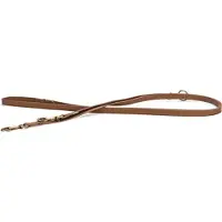 Beeztees Verstelbare Hondenriem Balacron Ax Bruin 300 X 2 Cm