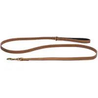 Beeztees Balacron Ax - Hondenriem - Kunstleer - Bruin - 180x1,5 cm