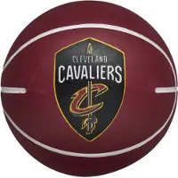 Wilson NBA Team Dribbler Stuiterbal - basketbal - bruin