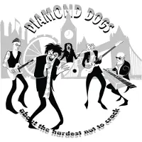 Hamstead Soundworks About The Hardest Nut To Crack