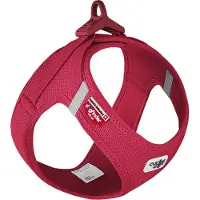 Curli Vest Harness Clasp Air-Mesh