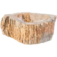 Bewonen Aloni Waskom Fossiel Hout 30-35 X 15cm - 5404024116405 - Rond - Wastafels, Opzetwastafels