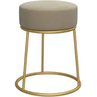 vidaXL Hocker rond fluweel donkergrijs