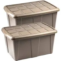 Forte Plastics Plasticforte Opslagbox met deksel - 2x - Beige - 60L - kunststof - 63 x 46 x 32 cm - Opbergbox