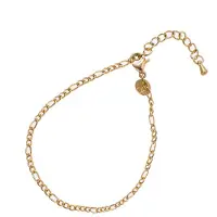 Go Dutch Label Armband (Sieraad) small link Goud