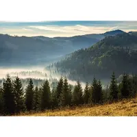 Consalnet Fotobehang - Bergen - Bomen - Mist - Landschap - Vliesbehang - (312 x 219 cm)