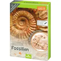 Moses uithakset Expedition Natur fossielen junior 12-delig