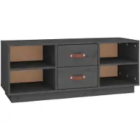vidaXL Tv-meubel 100x34x40 cm massief grenenhout grijs