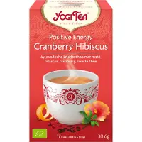 Yogi tea Biologische Thee Positive Energy 17 stuks