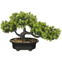 Mica Decorations Kunstplant Bonsai Groen 33 x 13 x 21 cm
