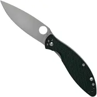 Spyderco Astute Linerlock