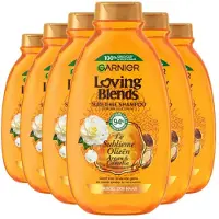 Garnier Loving Blends Argan & Cameliaolie shampoo - 6 x 300 ml - voordeelverpakking