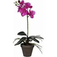 Mica Decorations Kunstplant - Phalaenopsis orchidee - paars - 48 cm - Kunstplanten/nepplanten met bloemen