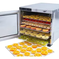 Vita5 Nobel Pro 10 XXL Droogoven - Dehydrator 10 Laags - RVS - 24-Uurs Timer - Led-bedieningspaneel - 1000 Watt - Zilver - 53x54x43 cm