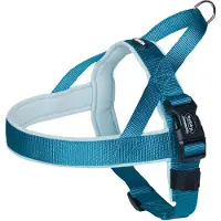 Nobby tuig classic preno - lichtblauw - 38-50 cm