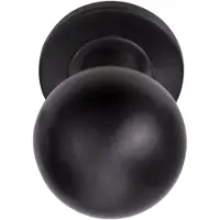 Formani Basics LB501D voordeurknop draaibaar op rozet - PVD gunmetal