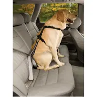 Kurgo Dog Seatbelt Loop - Veiligheidsriem met Karabijnhaak - Past aan elke autogordel - Zwart/Grijs