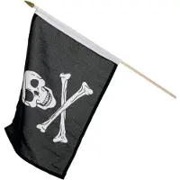 Swing King Swingking Piratenvlag 45cm