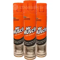 Mr Muscle 3x Ovenreiniger 300 Ml