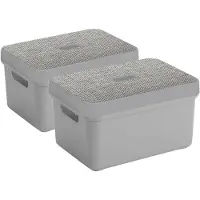 Sunware Opbergbox/mand - lichtgrijs - 5 liter - met deksel - set van 2x stuks - Opbergbox