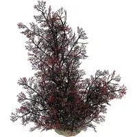 Ebi Aqua Della Phoenix XL (Andere objecten)