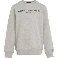 Tommy Hilfiger Sweatshirt nachtblauw / grijs gemêleerd / rood / wit