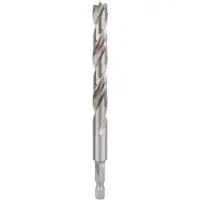 Bosch Houtspiraalboor, 1/4" zeskantschacht 10 x 87 x 133 mm 1st - 2608595524