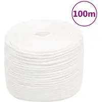 vidaXL Boottouw 8 mm 100 m polypropyleen volwit
