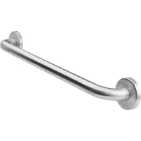 SecuCare wandbeugel 450 mm ø25 mm rvs geborsteld