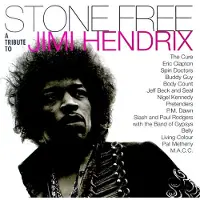 RecordCityJP Jimi Hendrix - Stone Free: Jimi Hendrix (2 LPs)