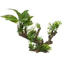Ebi Aqua Della Flora Scape 5 XL (Decoratie, Andere objecten), Aquarium decoratie