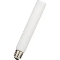Bailey LED lamp E27 | Buislamp T30 | Mat | 2700K | Dimbaar | 4W