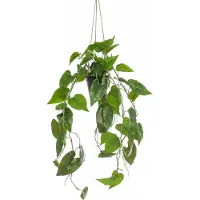 Emerald Philodendron scandens hang. in pot 80 cm kunstbloem zijde nepbloem