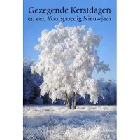 Benza Dubbele Religieuze Kerstkaarten 13 - 6 stuks