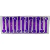 Benza Paarse Hangvaasjes Set van 12 – Glazen Reageerbuis Vaasjes aan IJzerdraad – Decoratie voor Bloemen – 130 cm