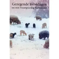 Benza Dubbele Religieuze Kerstkaarten 5 - 6 stuks