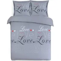 Vision Love Dekbedovertrekset - 100% katoen: zacht en soepel - Tweepersoons - Dekbedovertrek 200 x 200 cm met 2 bijhorende slopen - Grijs - Oekotex gecertificeerd