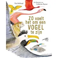 Lemniscaat Zo voelt het om een vogel te zijn