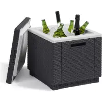 Allibert Koelbox Ice Cube antraciet 213828 online kopen