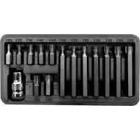 Proline Torx Bitset T20-T55 3/8" - 15 Delen
