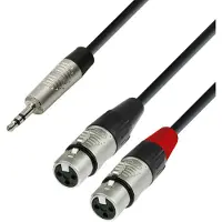 Adam hall 4 STAR Rean 3.5mm TRS Mini Jack to Twin XLR (F) Splitter Cable 3m