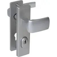 Nemef veiligheidsbeslag PC55 kortschild kruk/kruk 3407-II met kerntrek beveiliging SKG3 aluminium F1