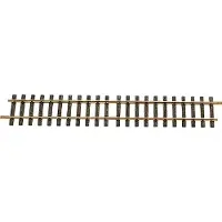 Lgb G rails L10600 Rechte rails 600 mm 1 stuk(s)