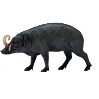 Collecta Sulawesi-varken, babirusa - Dierfiguren - L