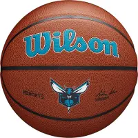 Wilson NBA CHARLOTTE HORNETS Composite Indoor / Outdoor Basketbal (7) | 7