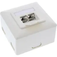 InLine Cat.6A aansluitdoos, AP/UP 2x RJ45 female, RAL9010, wit, verticaal