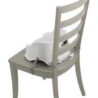Fisher-Price Panda Portable Highchair Wit Kinderen