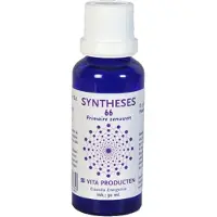 Vita Syntheses 66 primaire zenuwen 30 ml