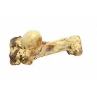 Brekz Snacks - Runderbot XL voor de hond 2 stuks